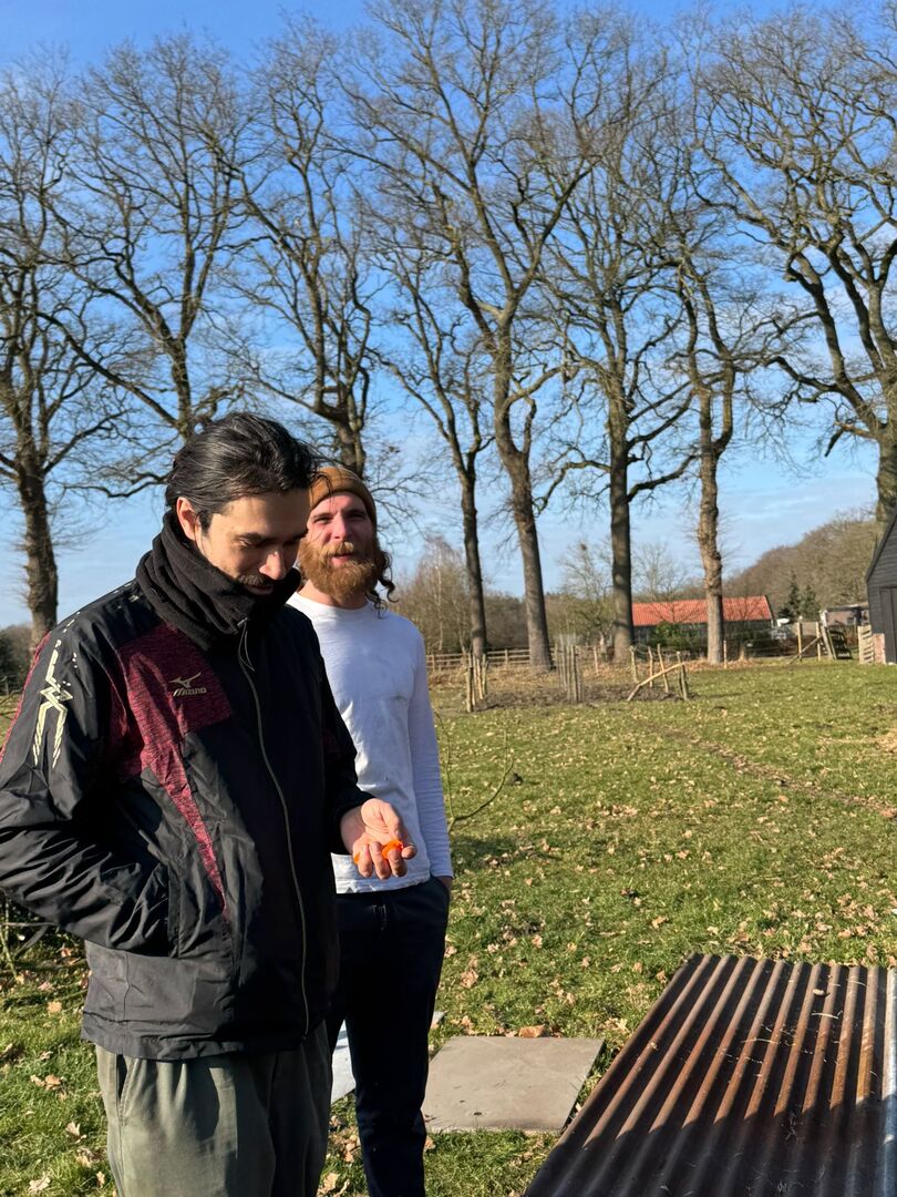 3297a3da-0c4b-4e56-9fb7-30cfb79289cf