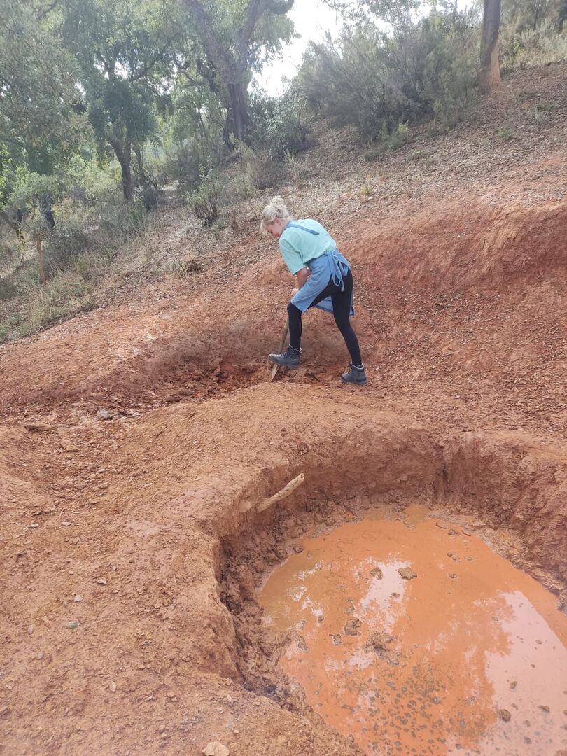 6b6efcf5-5a67-43bc-a9da-c4df5f8dc686