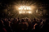 Coordinator Music Hub Brabant