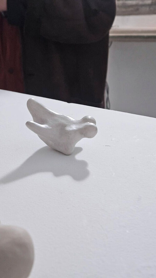 IMG-20251106-WA0010 bewerkt