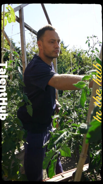 'In the hub' met Bram de Vos