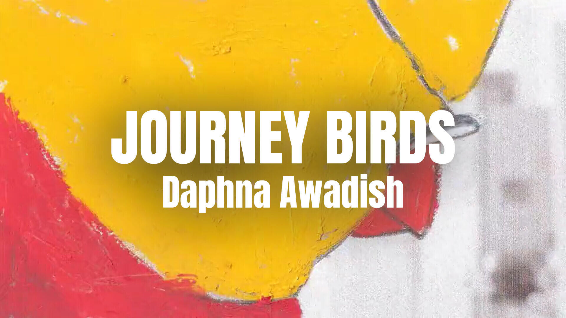 KONKAV Brabants talent: Daphna Awadish