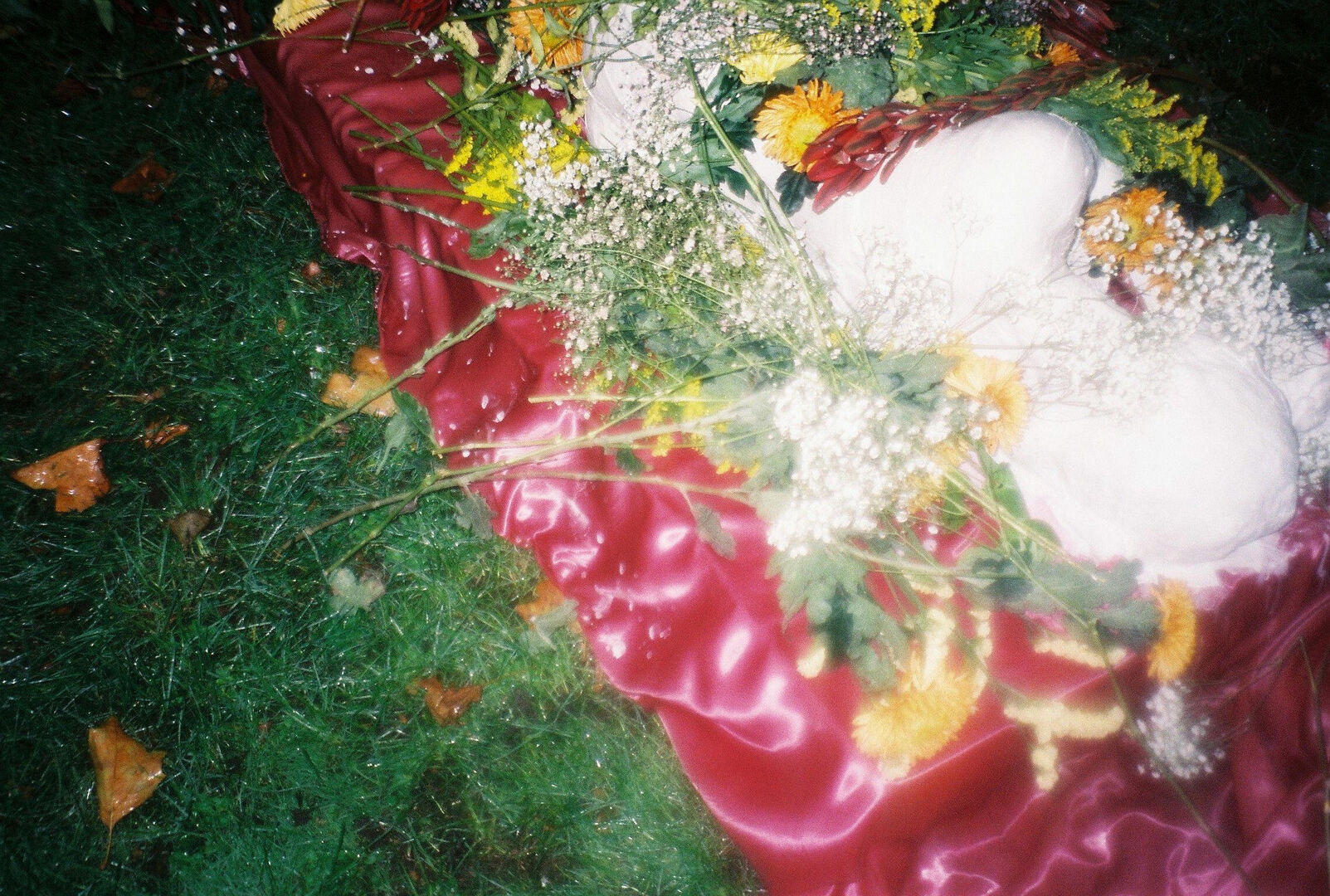 Rebirth